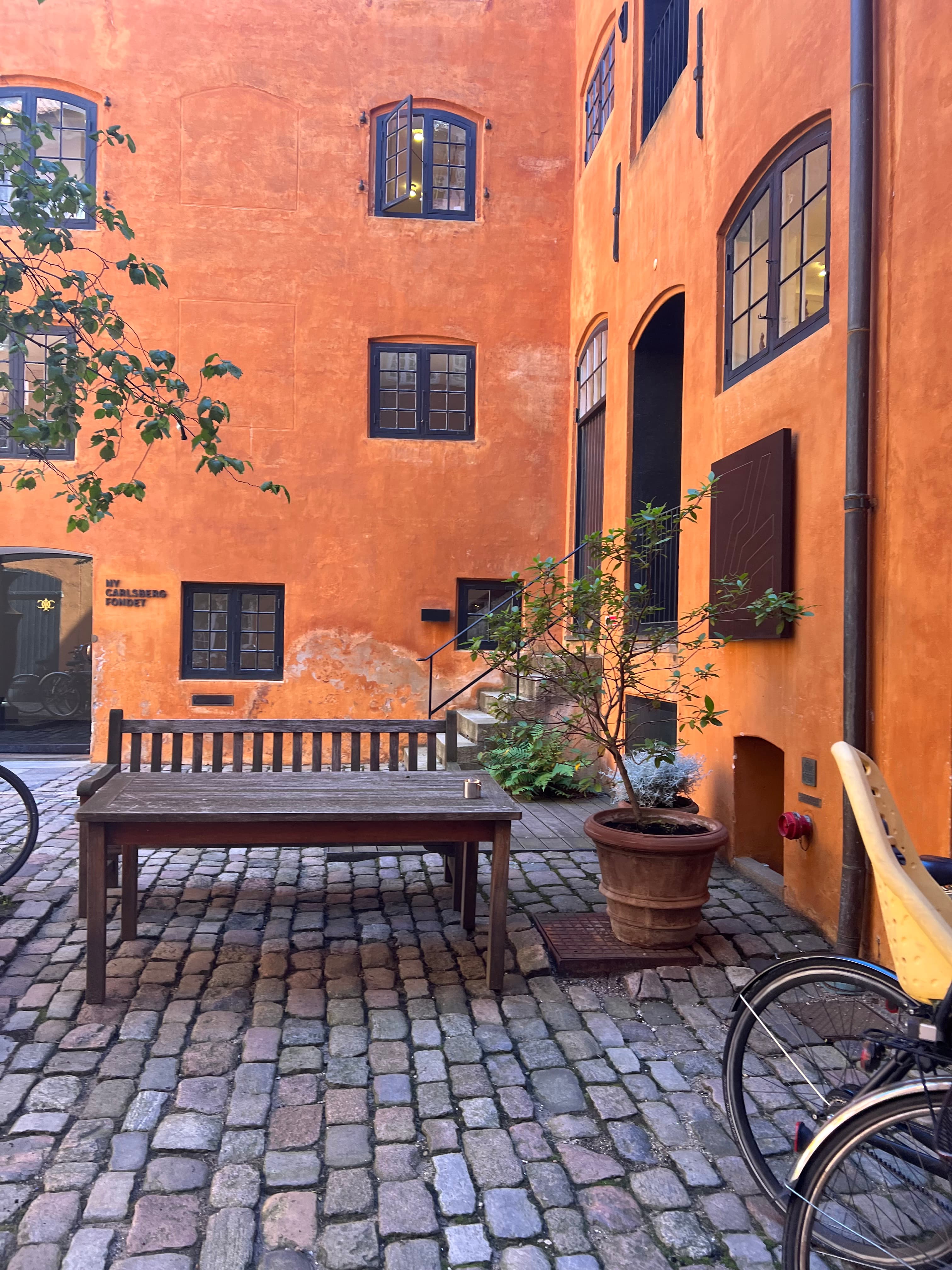 Cover: «Fællesgård: How Copenhagen Designed Community Into Existence» — anthropology, Denmark, Copenhagen | Naama Cohen