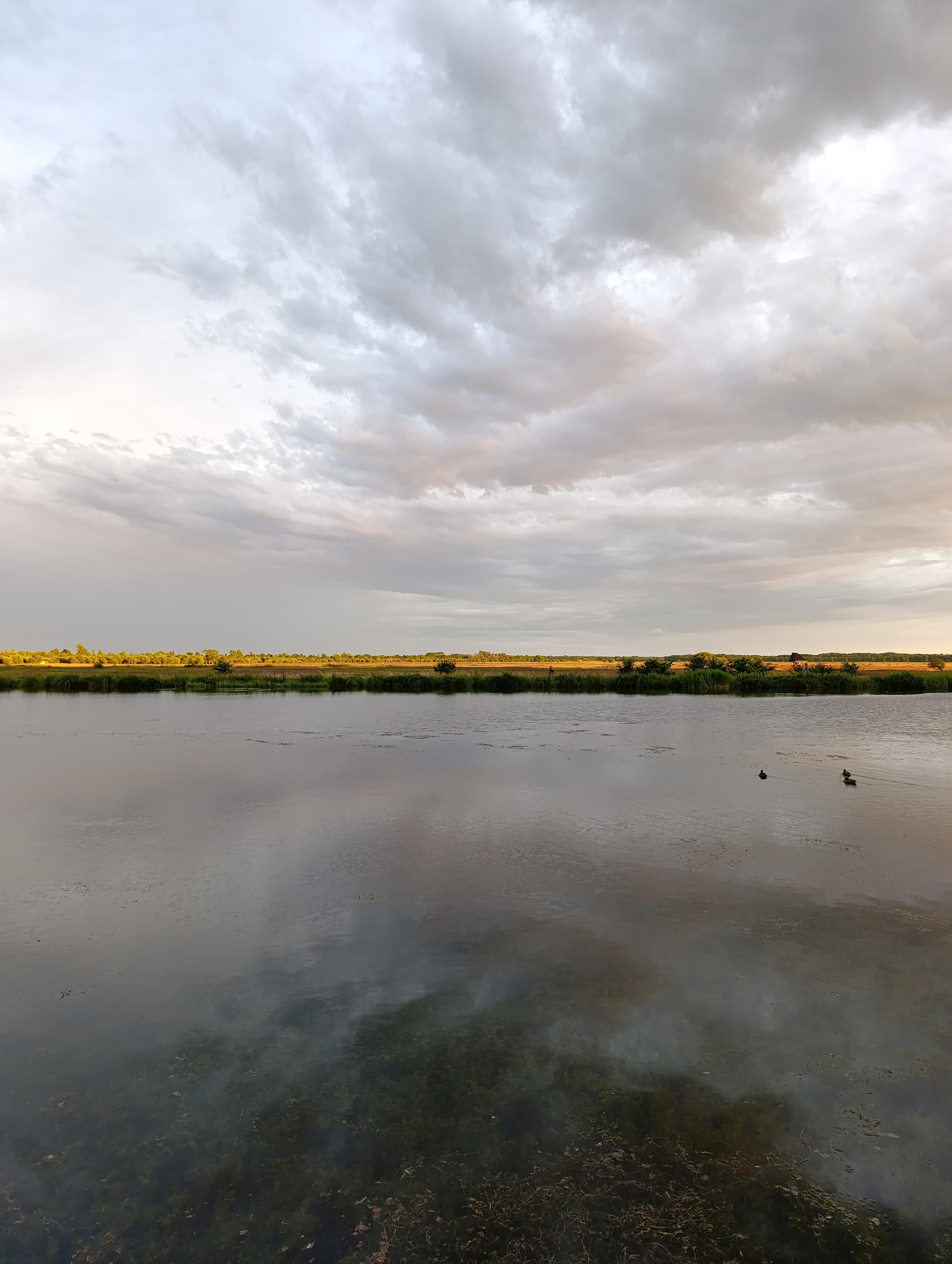 Photograph from Nufar Hatzbani’s portfolio — street and everyday space