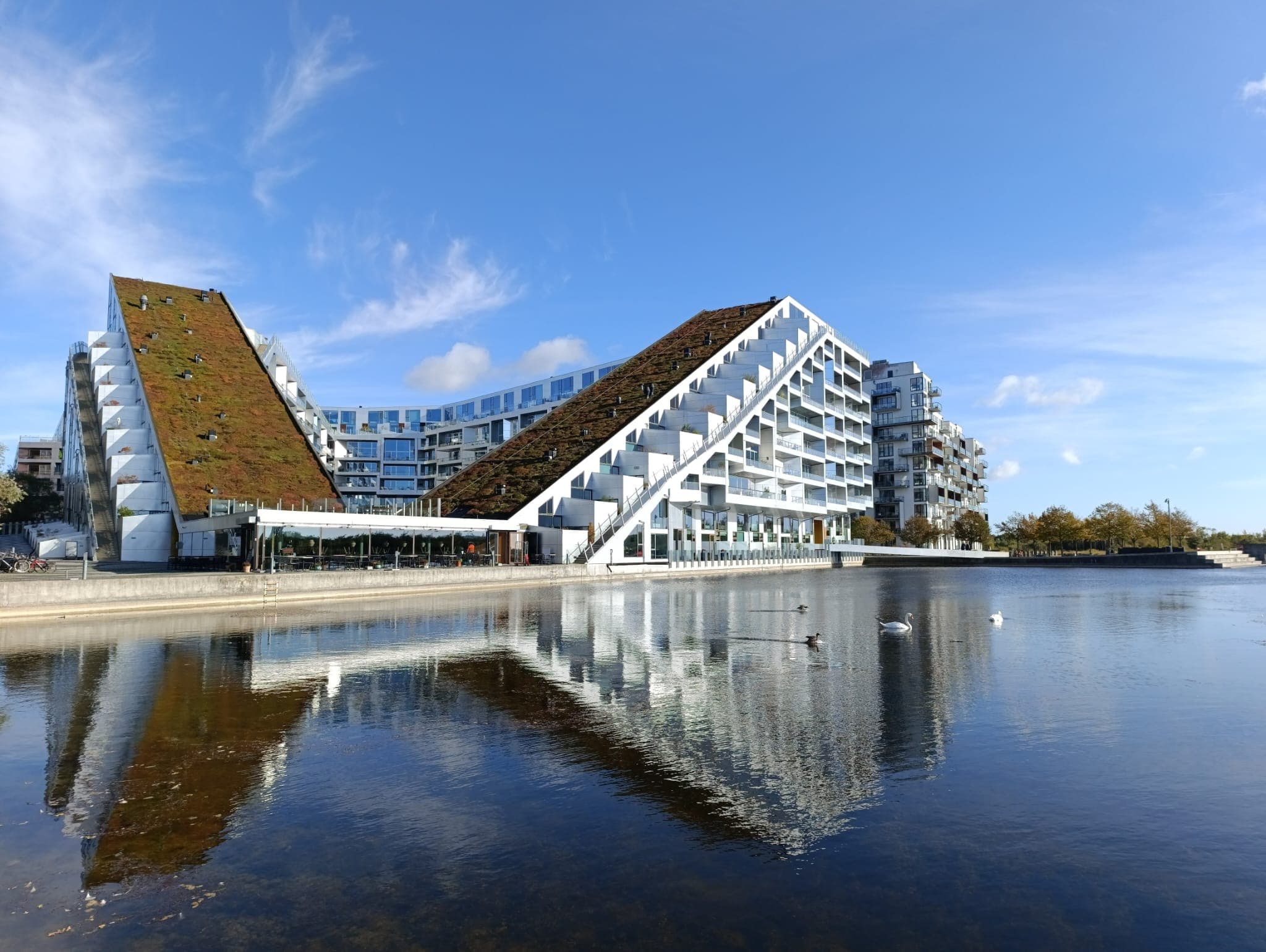 Photograph from Nufar Hatzbani’s portfolio — texture and composition