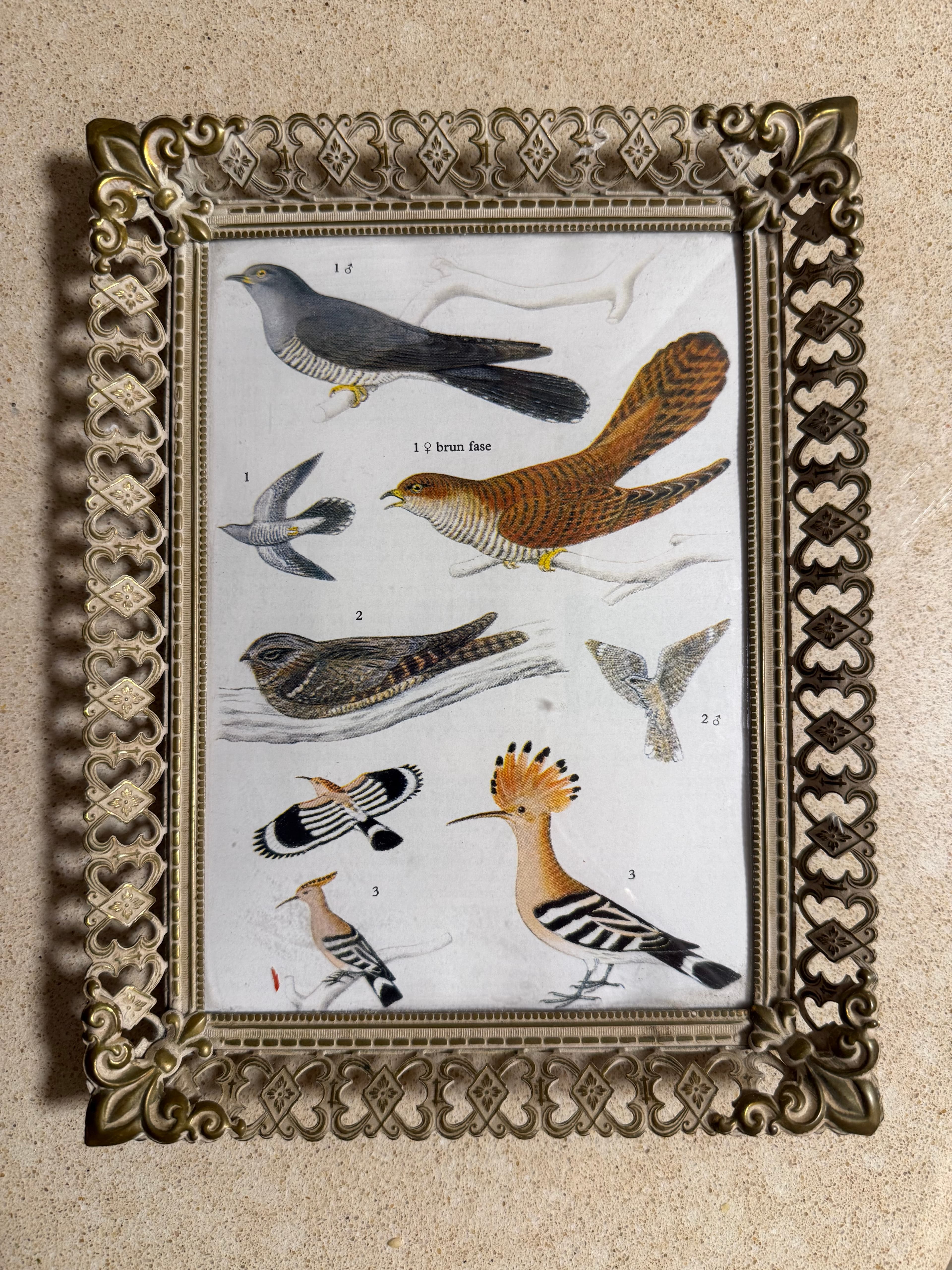 Vintage Danish decor / collectibles - Photo Frame in Metal