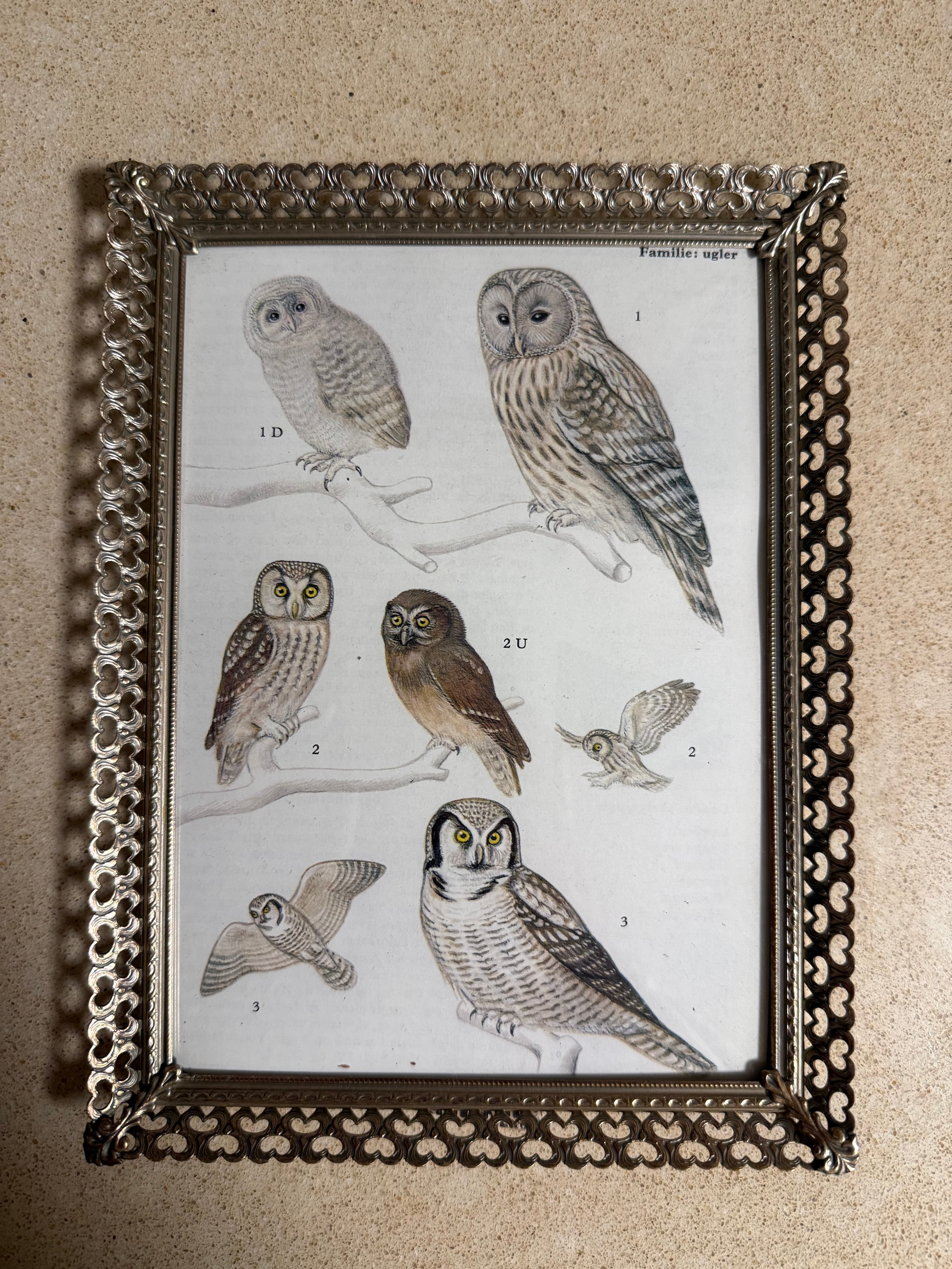 Vintage Danish decor / collectibles - Photo Frame in Metal